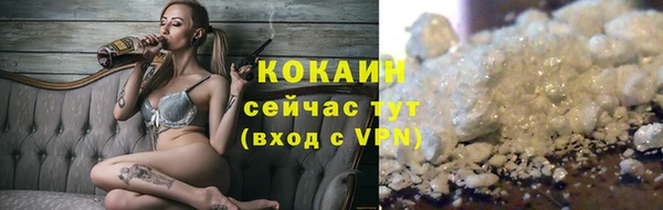сатива Аркадак