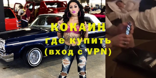 сатива Аркадак