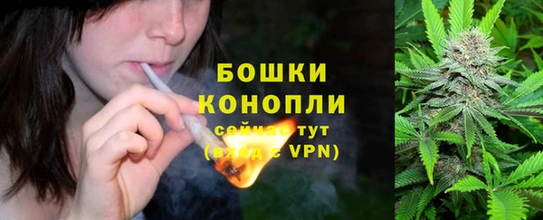 сатива Аркадак
