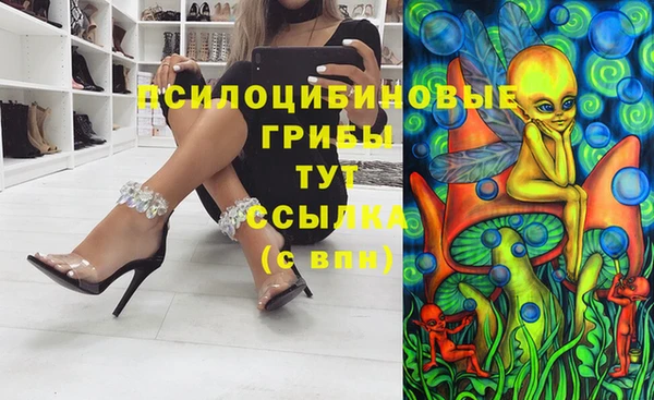 сатива Аркадак