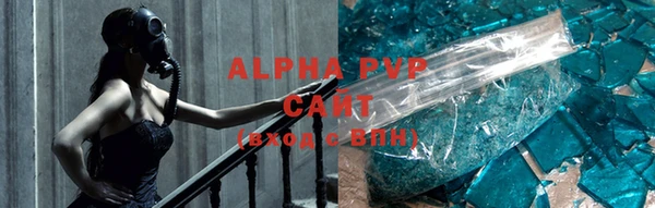 сатива Аркадак